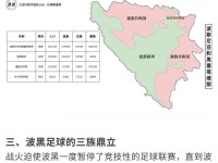 波黑足球地理：一条河、三族人、十支队，两届世界杯