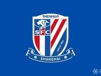 记者：申花伤员正在积极康复，夏窗人员调整也在稳步推进之中