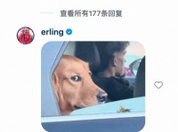 抽象！网友用一根葱模仿哈兰德，哈兰德回复了一个表情包