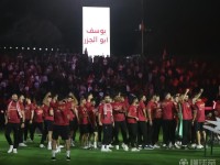 世界杯48强巡礼之约旦：中东“侠士”的首次亮剑