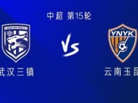 三镇vs云南：双方均4外援，叶楚贵、郑浩乾首发，贝维斯替补