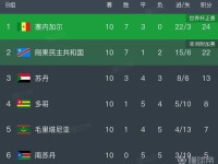 世界杯48强巡礼之民主刚果：刚果河奔涌不息，雨林豹破雾归来