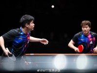 国乒一月连打四站比赛！主力新秀连番上阵，王楚钦孙颖莎难得休息