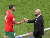 非洲杯法国造？非洲杯参赛球队为什么那么多法国归化？