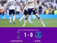剑南春丨热刺1-0埃弗顿以2分优势成功保级，帕利尼亚制胜