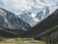 记者：胜利主帅热苏斯再次缺席赛后发布会，球员也没接受瞬采