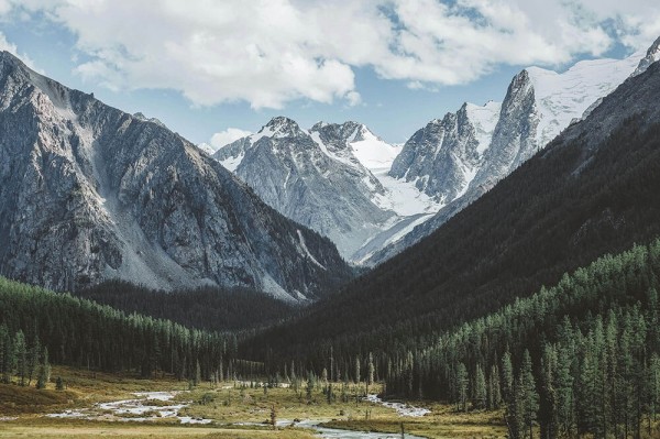 记者：胜利主帅热苏斯再次缺席赛后发布会，球员也没接受瞬采