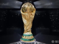 FIFA将给世界杯赛事参赛球员所属俱乐部发补偿金，每人每天2360美元