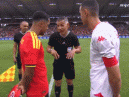 半场战报：比利时1-0突尼斯，特罗萨德破门，多库送助攻
