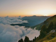 记者：胜利主帅热苏斯再次缺席赛后发布会，球员也没接受瞬采