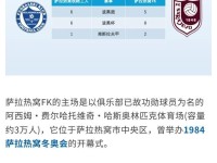 波黑足球地理：一条河、三族人、十支队，两届世界杯