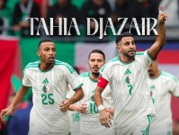 非洲杯法国造？非洲杯参赛球队为什么那么多法国归化？