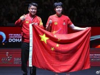 4-0夺冠，横扫日本张本智和，WTT多哈冠军赛：王楚钦休战