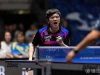 樊振东3-2险胜贾哈，萨尔布吕肯夺得乒乓球德甲冠军