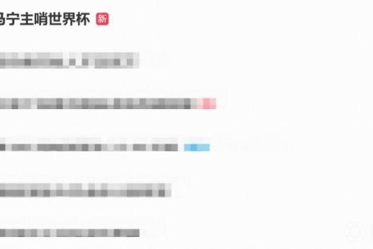备受关注，话题 “马宁主哨世界杯” 直接登顶微博热搜榜
